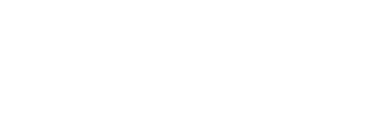 What is Nytro Seo?